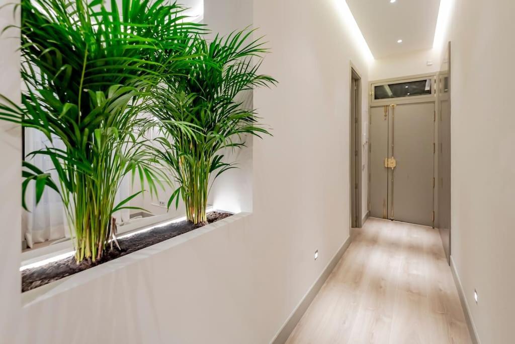 Apartamento Vip Malasana 6 Pax