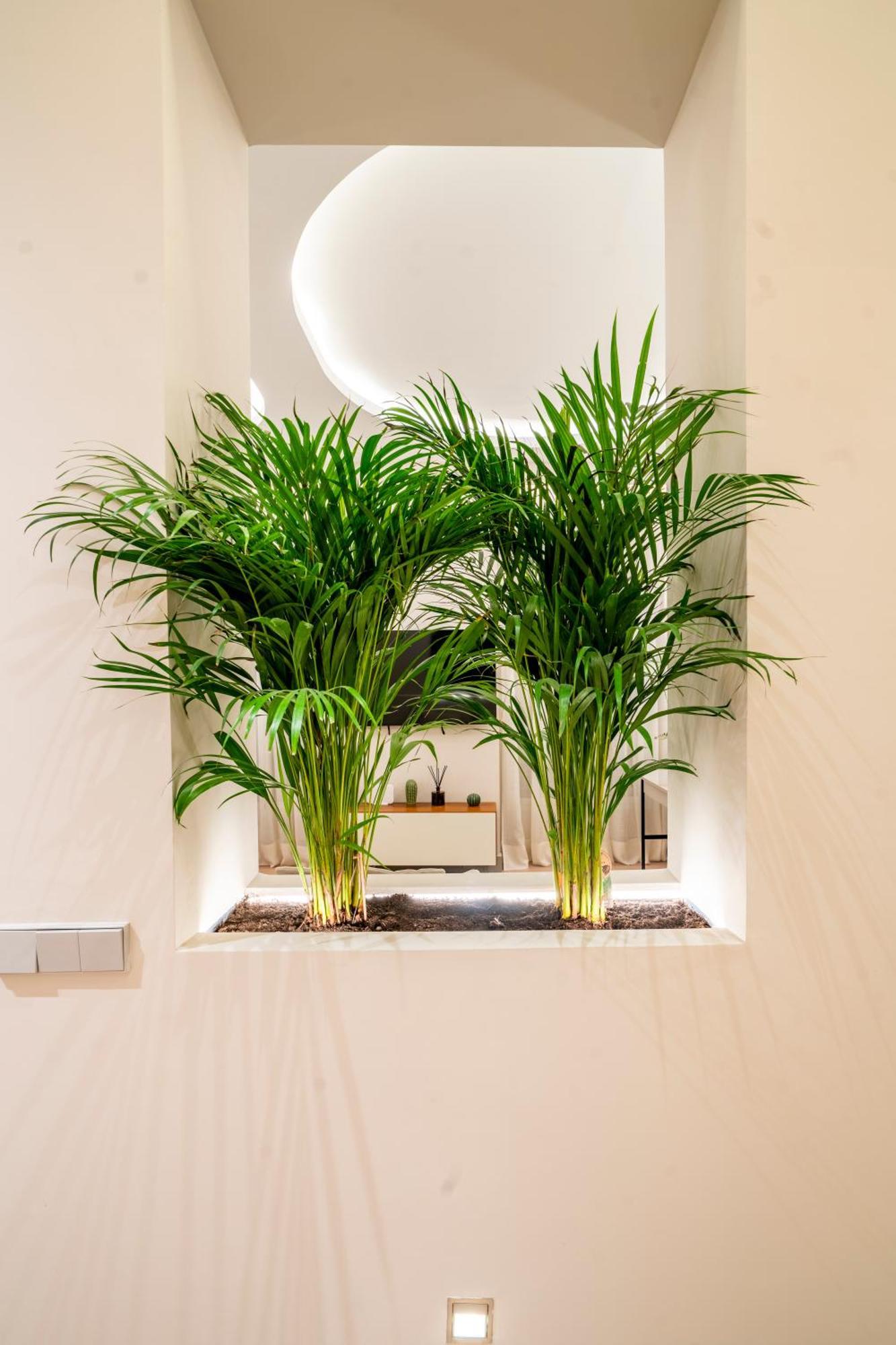 Apartamento Vip Malasana 6 Pax Madrid